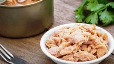 3f95d268 4713 4b06 a027 5235343d7212 - Egypodcast.