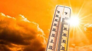 721593319286202504220939403940 1 - Egypodcast.