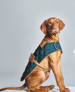 IMG 20260104 WA0017 1 - Egypodcast.