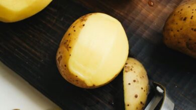 pexels photo 4110464 1769427307011 1769427338840 - Egypodcast.